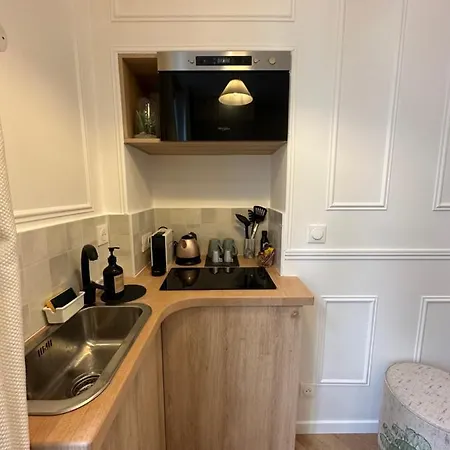 Studio Elegant Au Coeur De Saint-germain-des-pres * Παρίσι
